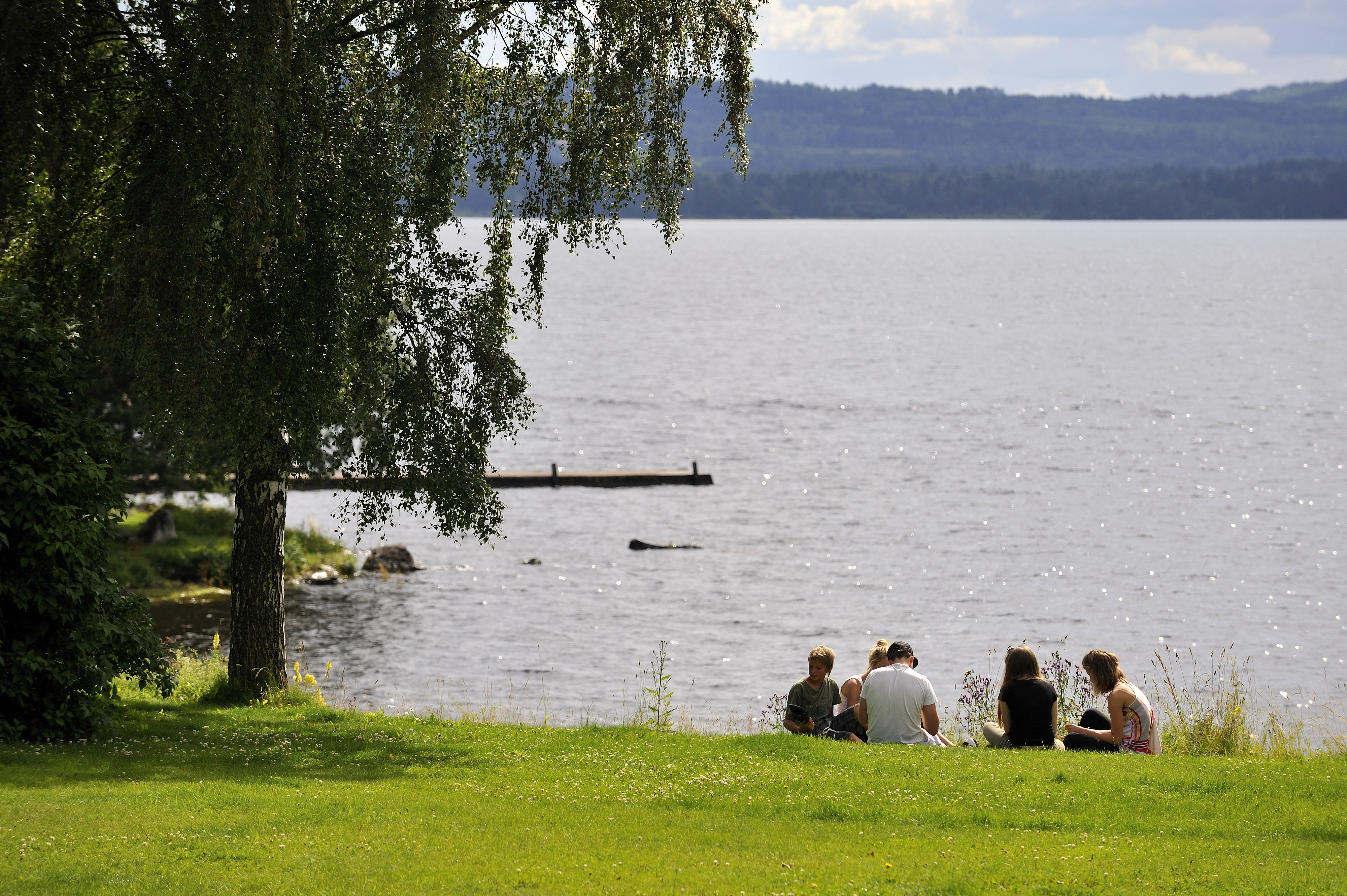 Sommardag vid siljan Foto: Magnus Aronson
