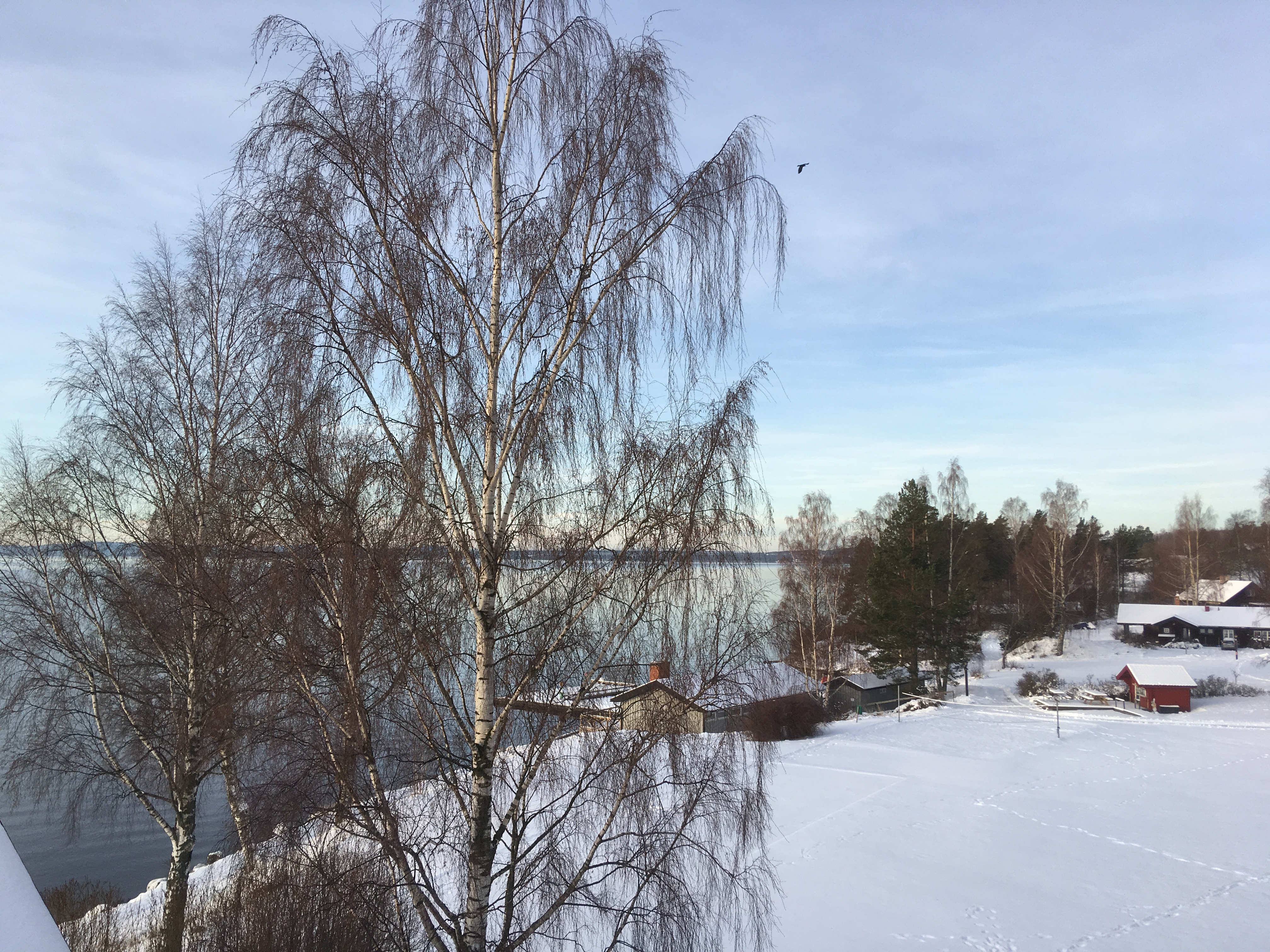 Foto: Jannike Wåhlberg