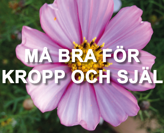 MÅ BRA FÖR KROPP OCH SJÄL