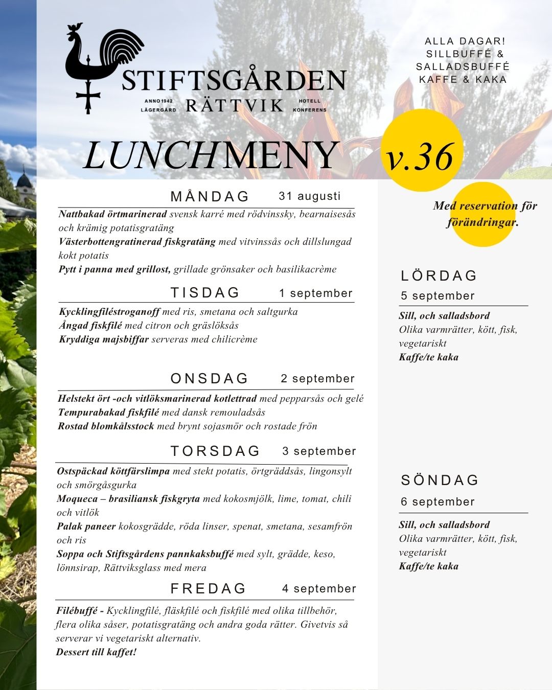 Lunchmeny v36