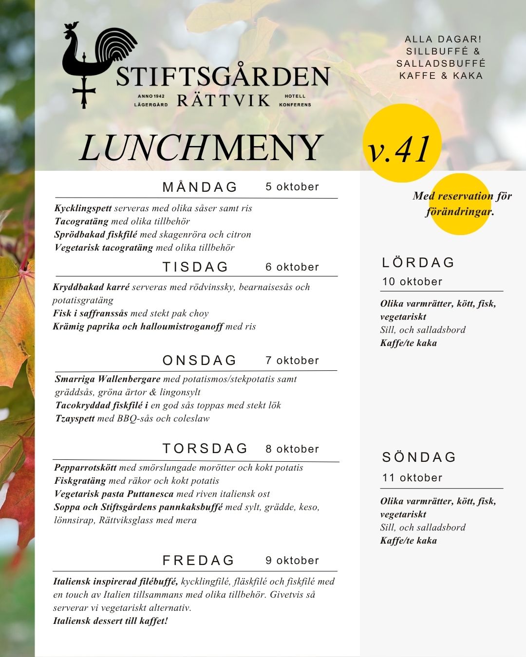 Lunchmeny v 41