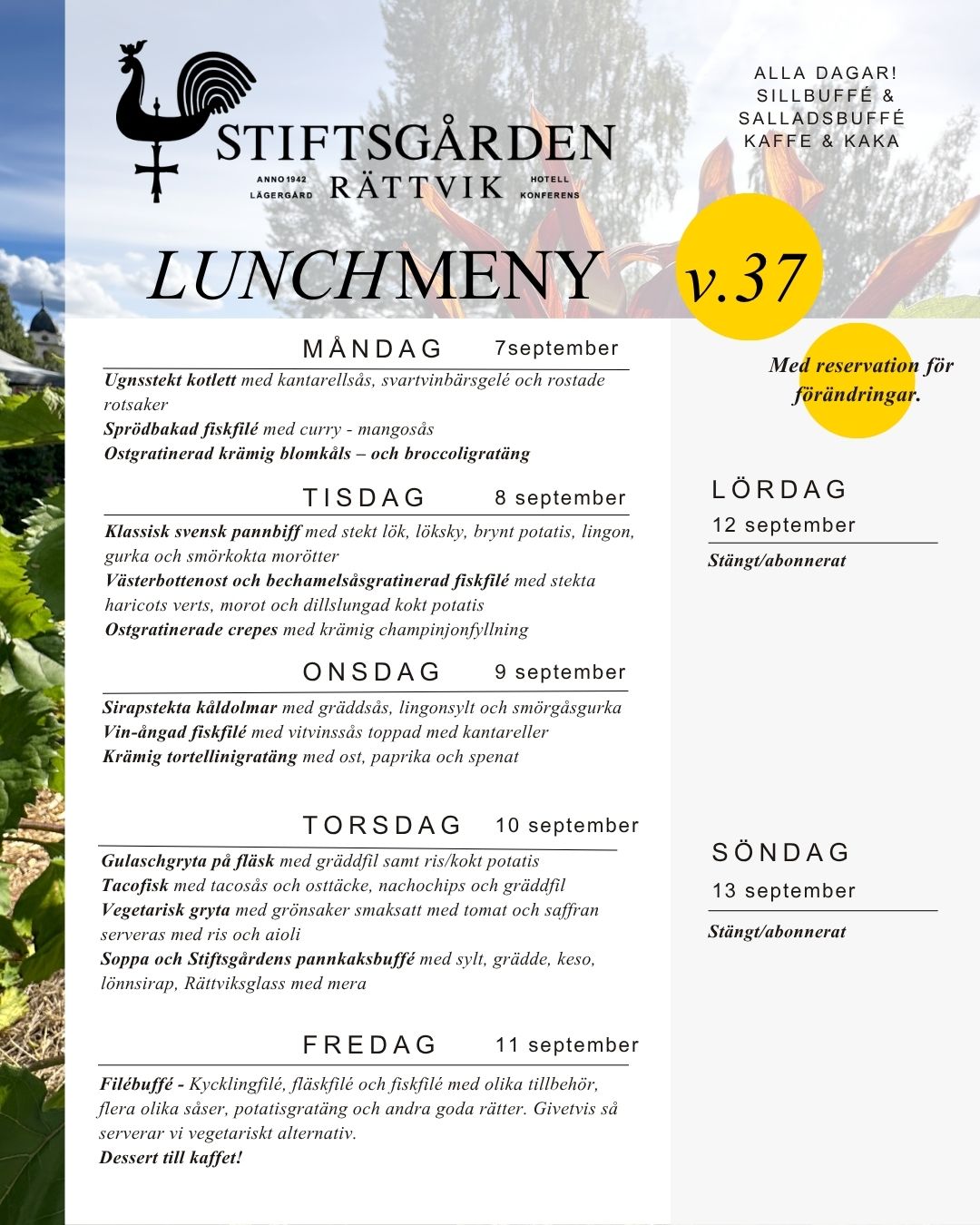 Lunchmeny v37 (1)