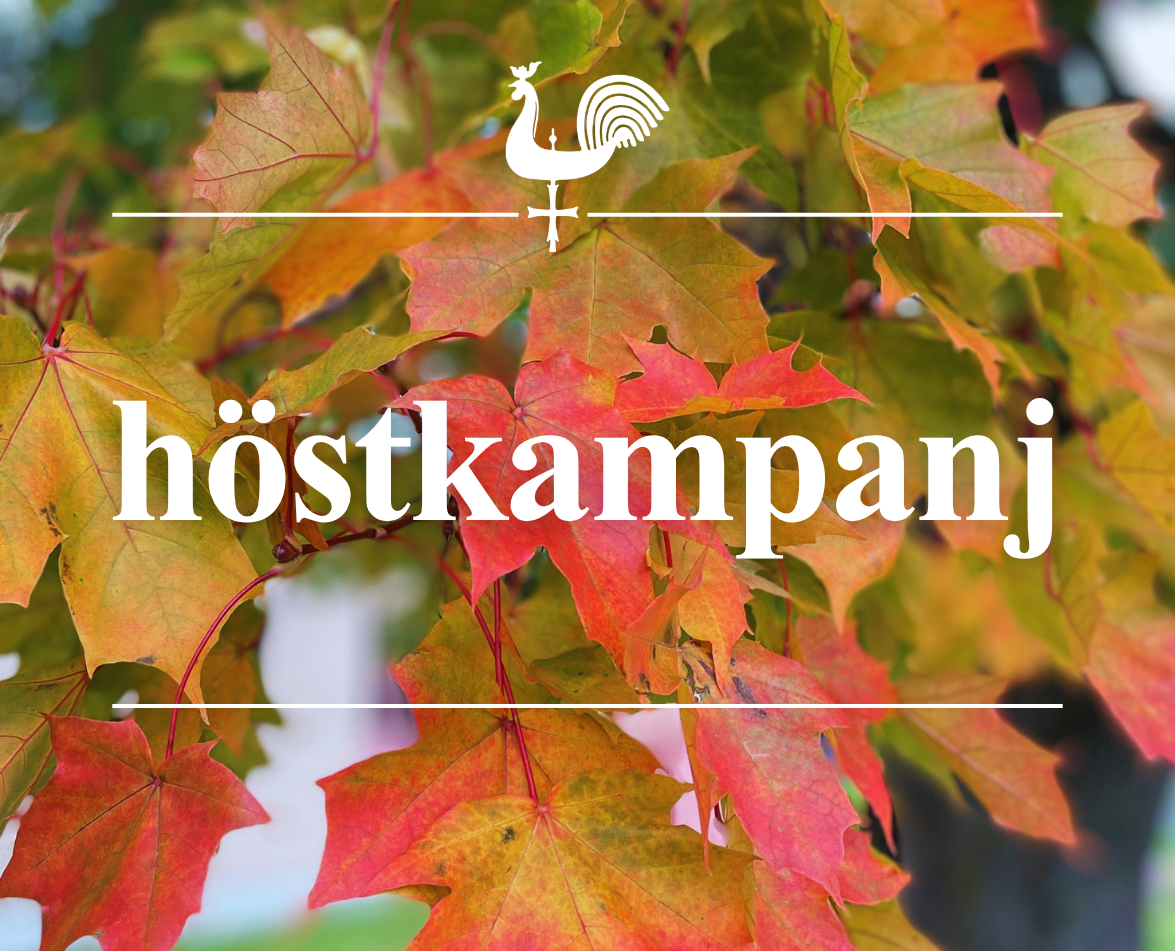 höstkampanj